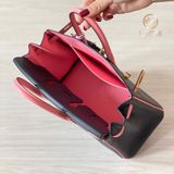  Birkin B25 Chèvre Bicolor 