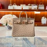  Birkin B25 Ostrich Chai GHW 