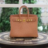  Birkin B25 Ostrich Terre Cuite GHW 
