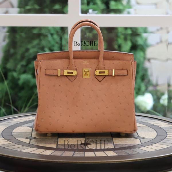  Birkin B25 Ostrich Terre Cuite GHW 