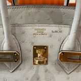  Birkin B25 Ostrich Parchemin GHW 