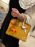  Birkin B25 Togo Sesame 