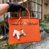  Birkin B25 Togo Orange GHW 