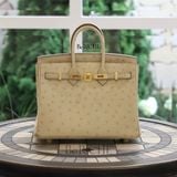  Birkin B25 Ostrich Parchemin GHW 