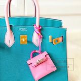  Birkin B25 Chèvre Bicolor GHW 