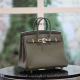  Birkin B25 Togo Vert Amande PHW 