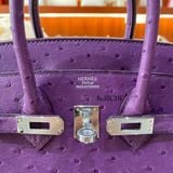  Birkin B25 Ostrich Anemone PHW 