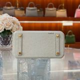  Birkin B25 Ostrich Parchemin GHW 