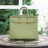  Birkin B25 Ostrich Vert Criquet GHW 