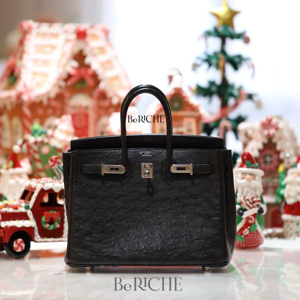  Birkin B25 Ostrich Noir Black 