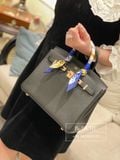  Birkin B25 Togo Noir Black RGHW 