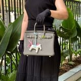  Birkin B25 Togo Gris Meyer PHW 