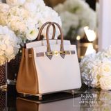  Birkin B25 Togo Bicolor Craie/ Etoupe Brushed GHW 