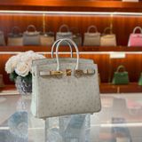  Birkin B25 Ostrich Parchemin GHW 