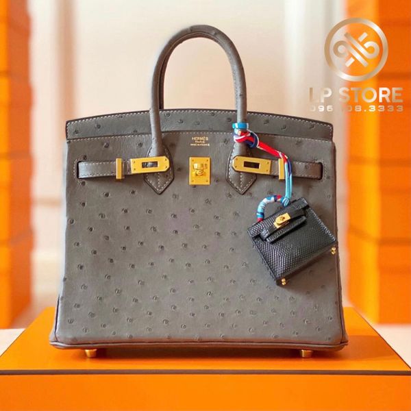  Birkin B25 Ostrich GHW 