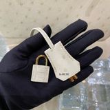  Birkin B25 Ostrich Parchemin GHW 