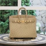  Birkin B25 Ostrich Gris GHW 