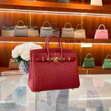  Birkin B25 Ostrich Rouge Vif GHW 