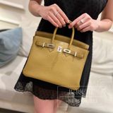  Birkin B25 Togo Broze Dore GHW 