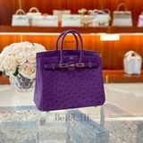  Birkin B25 Ostrich Anemone PHW 