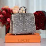  Birkin B25  Lizard Ombre PHW 