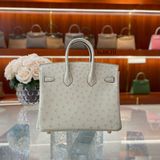  Birkin B25 Ostrich Parchemin GHW 