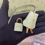  Birkin B25 Ostrich Vert Criquet GHW 