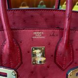  Birkin B25 Ostrich Rouge Vif GHW 