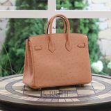  Birkin B25 Ostrich Terre Cuite GHW 
