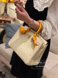  Birkin B25 Ostrich Parchemin GHW 
