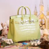  Birkin B25 Crocodile Jaune Bourgeon, Alligator Mississippi Matte PHW 