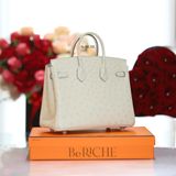  Birkin B25 Ostrich Parchemin GHW 