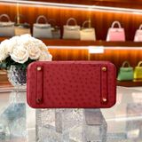  Birkin B25 Ostrich Rouge Vif GHW 