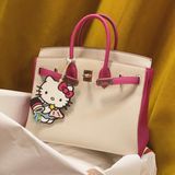  Birkin B25 Togo Bicolor Beton + Rose Pourpre RGHW 