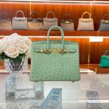  Birkin B25 Ostrich Vert Criquet GHW 