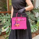 Birkin B25 Togo Rose Purple PHW 