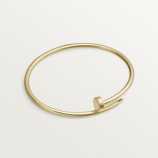  Cartier Juste un Clou bracelet 