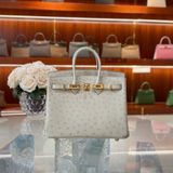  Birkin B25 Ostrich Parchemin GHW 