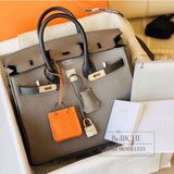  Birkin B25 Togo Bicolor GHW 