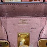  Birkin B25 Ostrich Terre Cuite GHW 