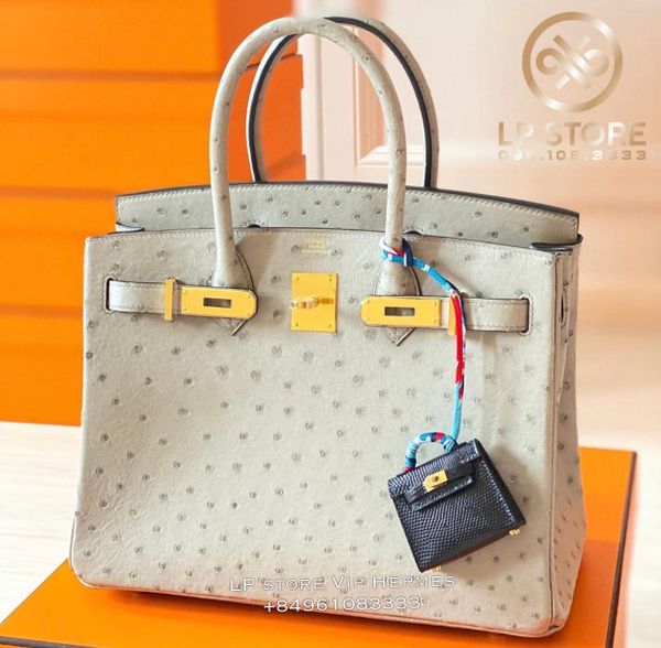  Birkin B25 Ostrich GHW 