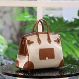  Birkin B25 Toile cargo Gold - ecru PHW 