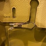  Birkin B25 Togo Sesame 