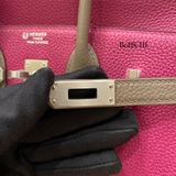  Birkin B25 Togo Bicolor Rose Purple/ Gris Asphalt Brushed PHW 