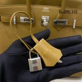  Birkin B25 Togo Broze Dore GHW 