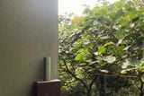  PAX Plus (Sắp Hết Hàng) 