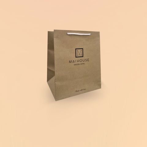  Túi giấy in ấn theo yêu cầu mẫu 8 