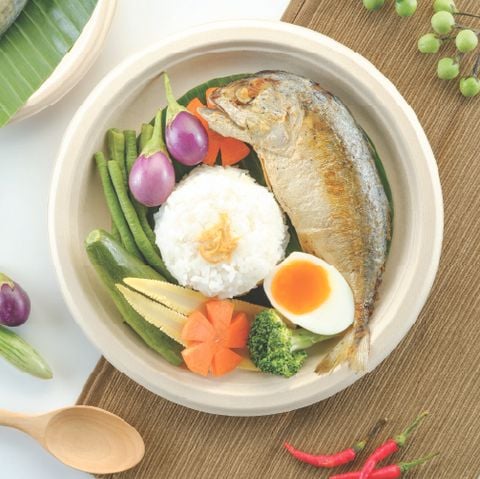  Dĩa giấy bã mía FEST BIO BROWN PLATE 9inches - Ø23cm 