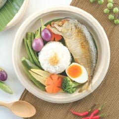  Dĩa giấy bã mía FEST BIO BROWN PLATE 9inches - Ø23cm 