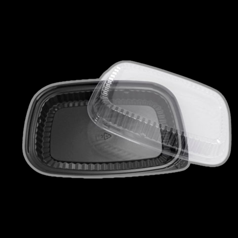  Hộp nhựa sushi HT203 